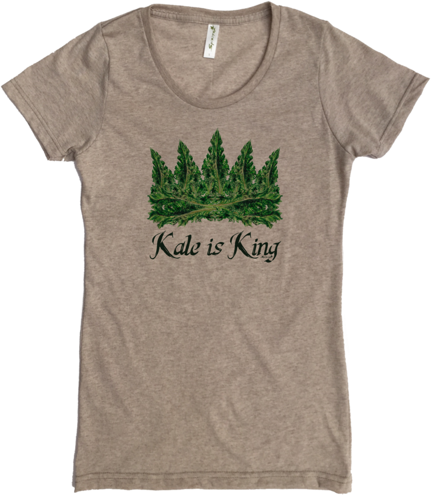 Christmas Tree Clipart (792x782), Png Download