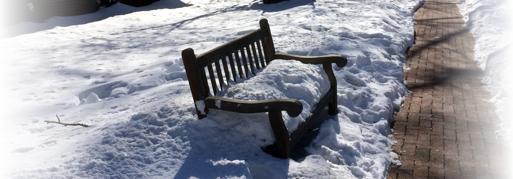 Oak Leaves Blog - Snow Clipart (1000x350), Png Download