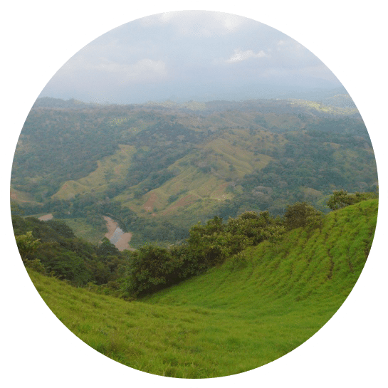 Hazelton Properties - Hill Clipart (562x547), Png Download