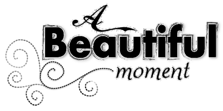 Beautiful Moments Text Png Clipart (800x392), Png Download