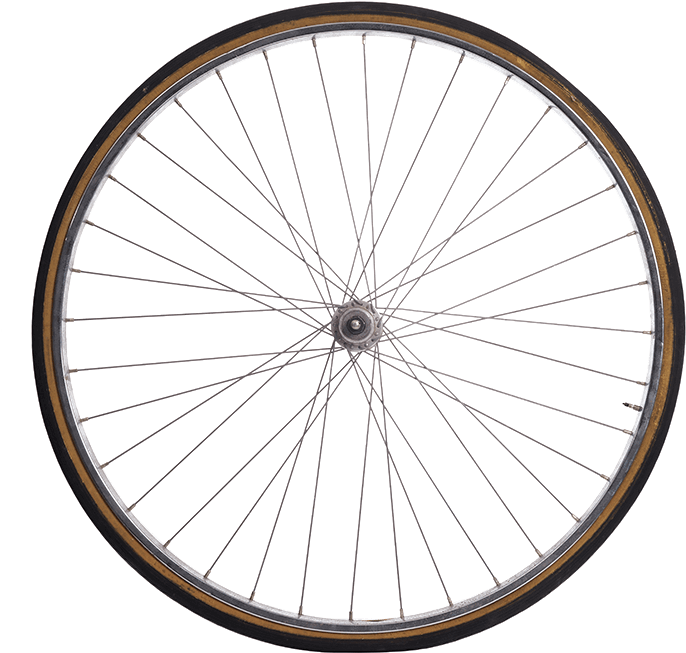 Take A Daily Constitutional - Bicycle Tire Clipart (800x800), Png Download