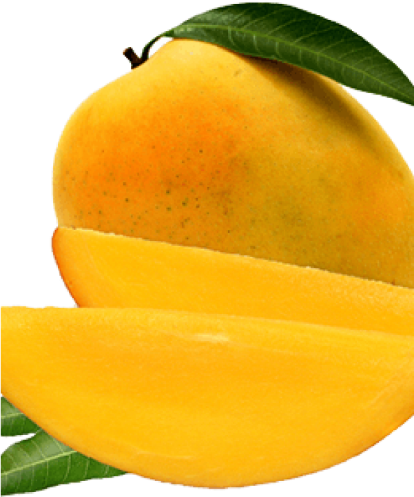 Mango Clipart (601x720), Png Download