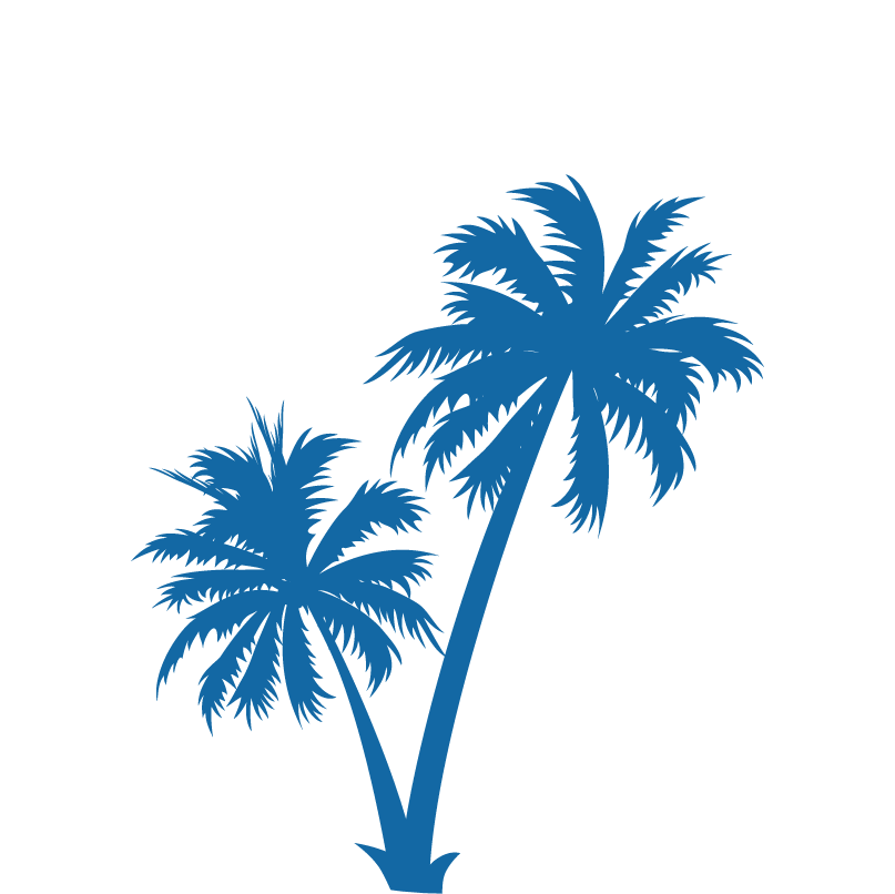 Explore More - Black Coconut Tree Png Clipart (807x806), Png Download