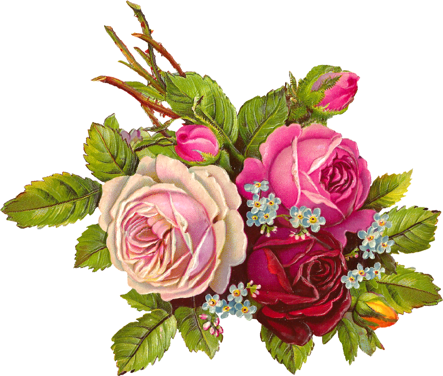 Bouquet Vector Vintage Rose - Pink Roses Vintage Png Clipart (1600x1342), Png Download