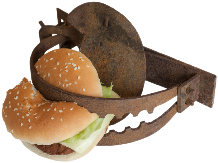 Rusty Bear Trap Cutting Hamburger In Half - French Fries Clipart (800x528), Png Download
