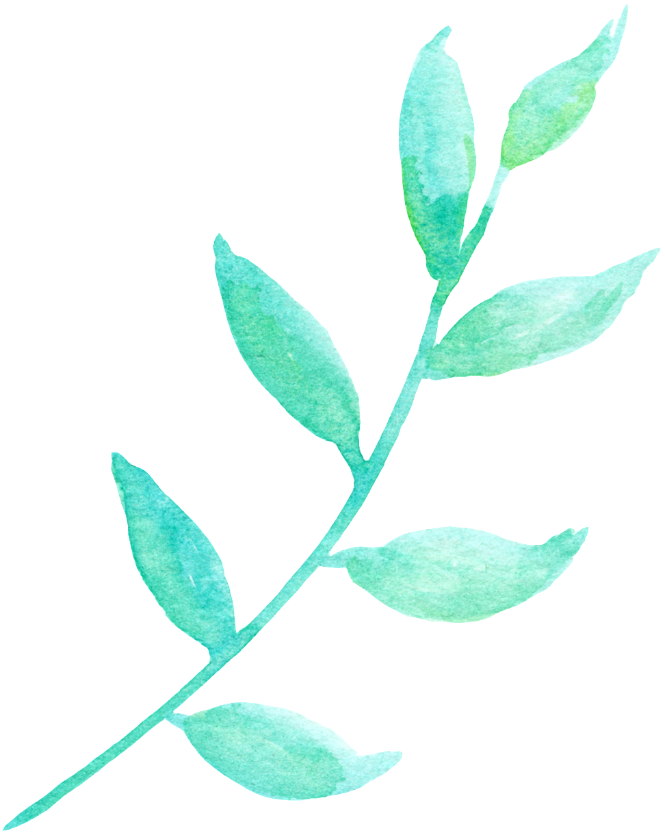La Luz Del Sol Y La Hoja Verde Cartoon Png Transparente - Flower Clipart (972x1217), Png Download