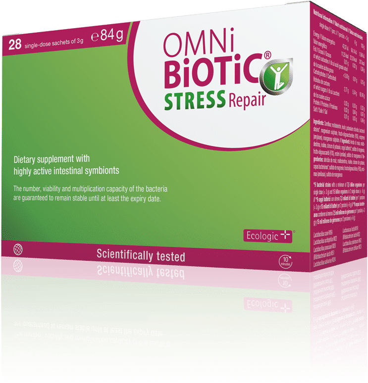 Coneflower Clipart (768x835), Png Download