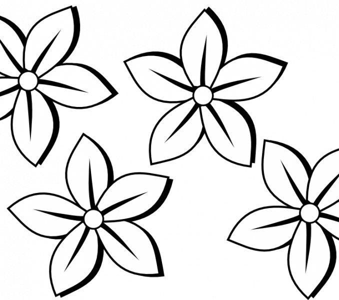 Drawings Of Roses Black And White Free Drawings Of - Flowers Art Black And White Clipart (678x600), Png Download