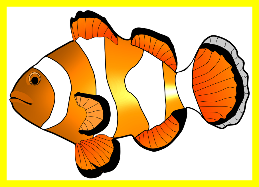 Astonishing Clown Fish Illustration Hanslodge Image - Fish Clip Art - Png Download (908x655), Png Download