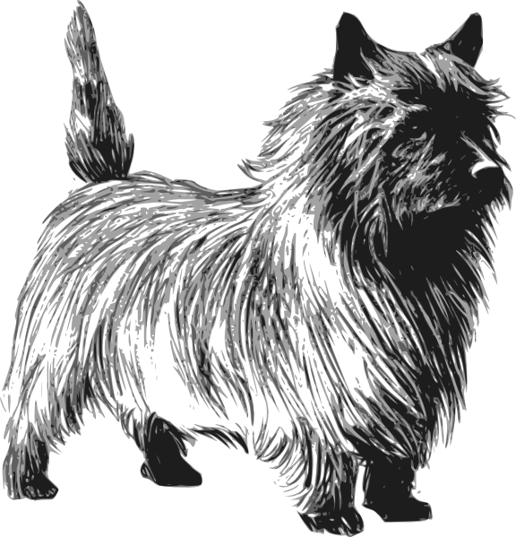 Dog Svg Clip Arts 576 X 599 Px - Cairn Terrier Clipart - Png Download (576x599), Png Download
