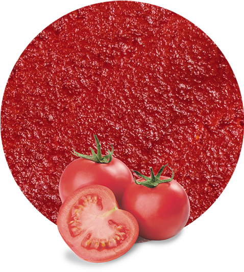 Tomato Paste Concentrate - Plum Tomato Clipart (536x595), Png Download