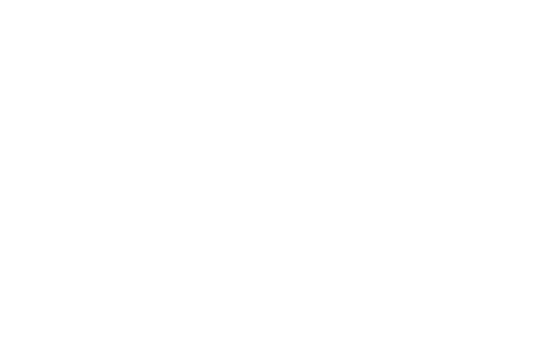 Logo Dark Logo Light Logo - Short-beaked Common Dolphin Clipart (600x600), Png Download