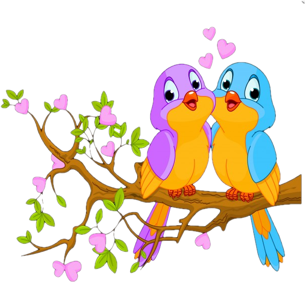 Bird Illustration, Bird Cards, Animal Drawings, Bird - Birds Clipart - Png Download (611x595), Png Download