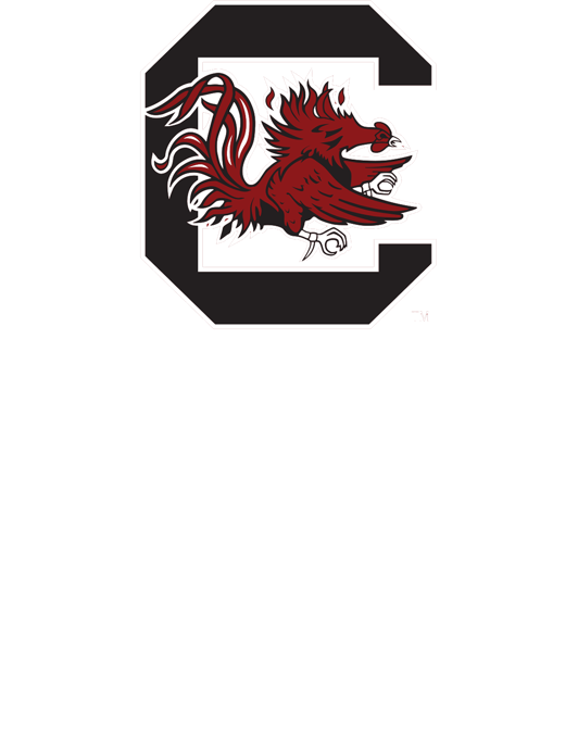 South Carolina Logo Png Transparent Background - Usc Columbia Clipart (532x682), Png Download
