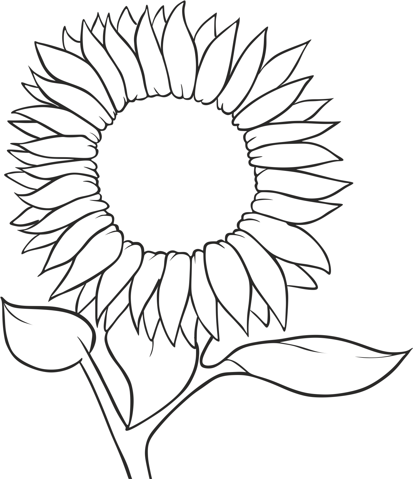 Download Common Seed Sketch - Free Line Drawing Sunflower.