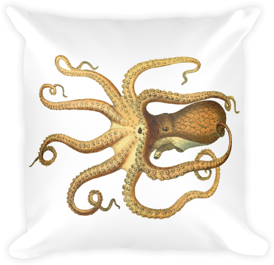 Vintage Octopus 2400px Mockup Front Original - Throw Pillow Clipart (1000x1000), Png Download