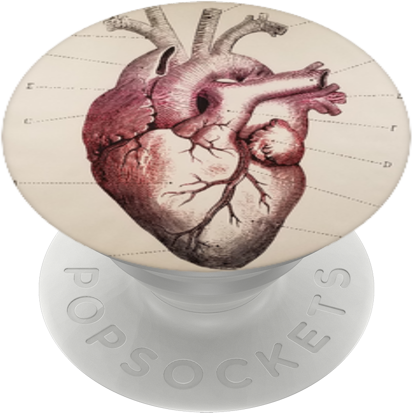 Heart Of Hope, Popsockets - Cool Anatomical Heart Clipart (989x1000), Png Download