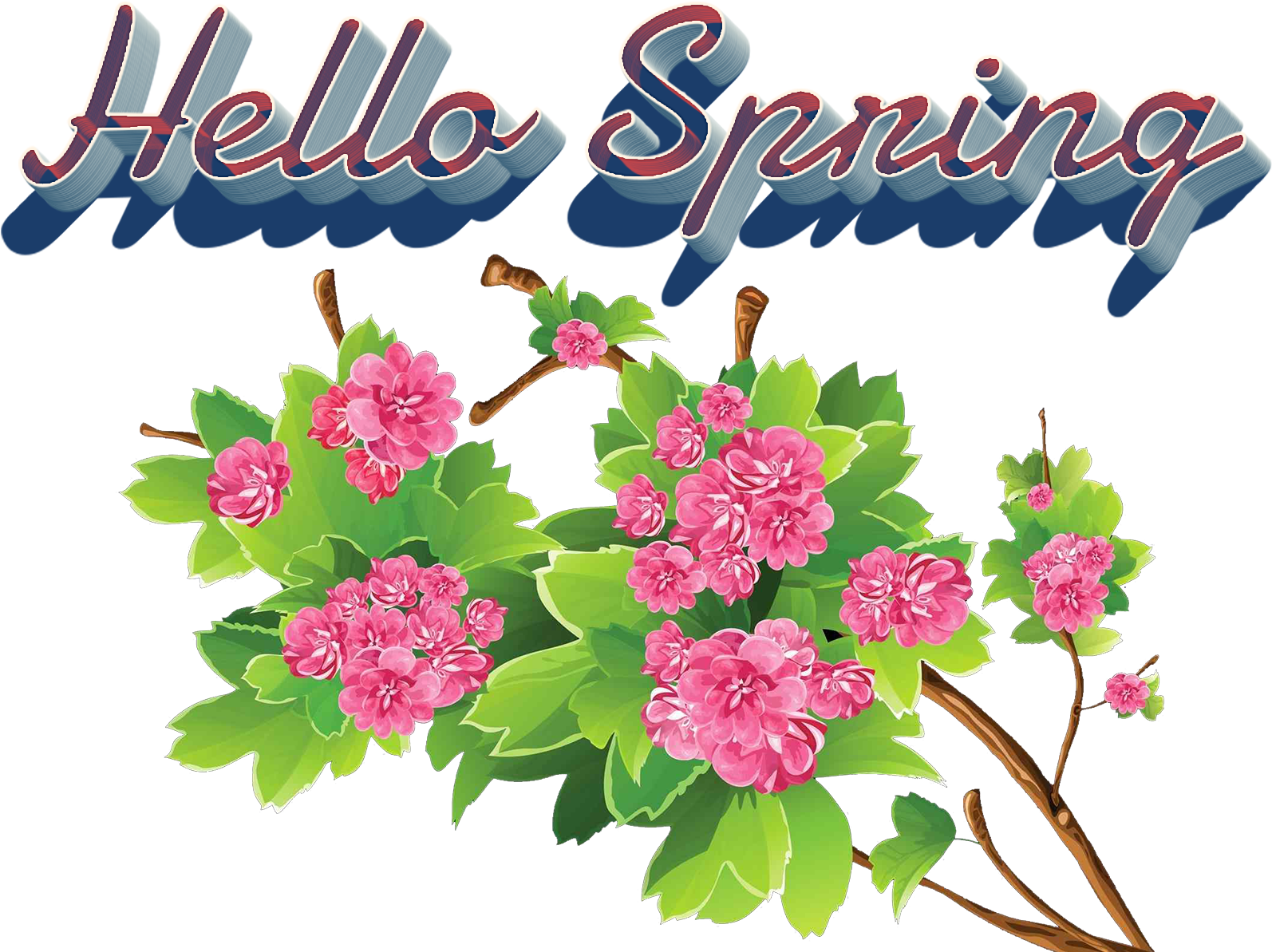 Bouquet Clipart (1920x1200), Png Download