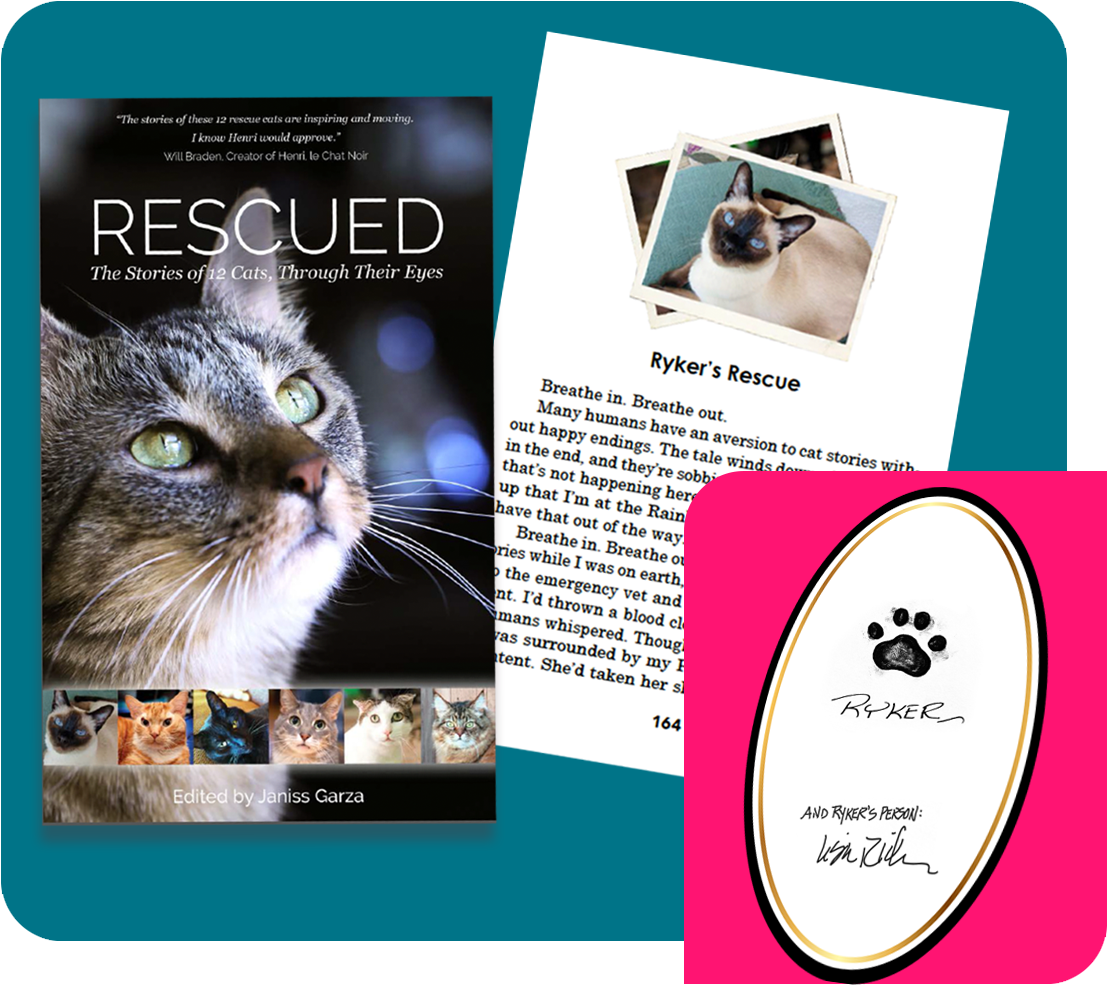 March Book Sales Help Find Homes For The Cats At Great - Books About Rescued Cats Clipart (1230x1126), Png Download