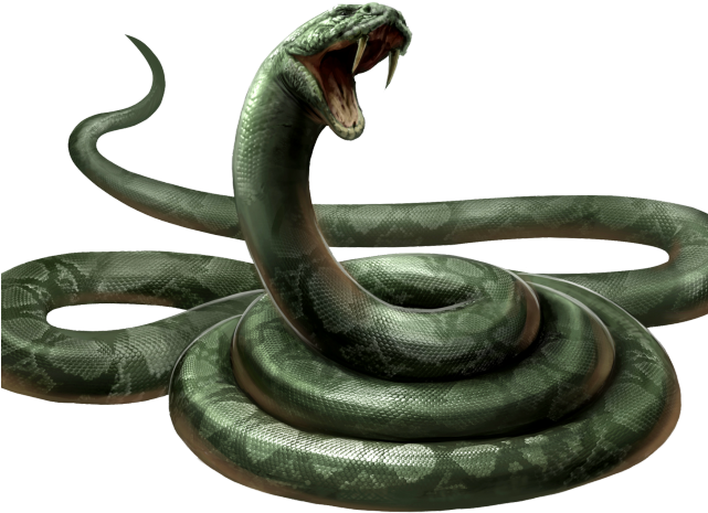 Serpent Pictures - Nagini Harry Potter Clipart (640x480), Png Download