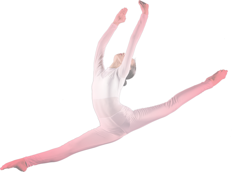 Sdw 2 Mascot - Ballet Dancer Clipart (740x548), Png Download