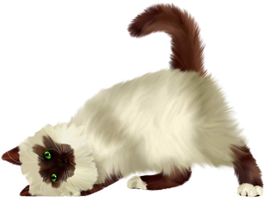 Cat Png Picture - Fox Squirrel Clipart (900x676), Png Download