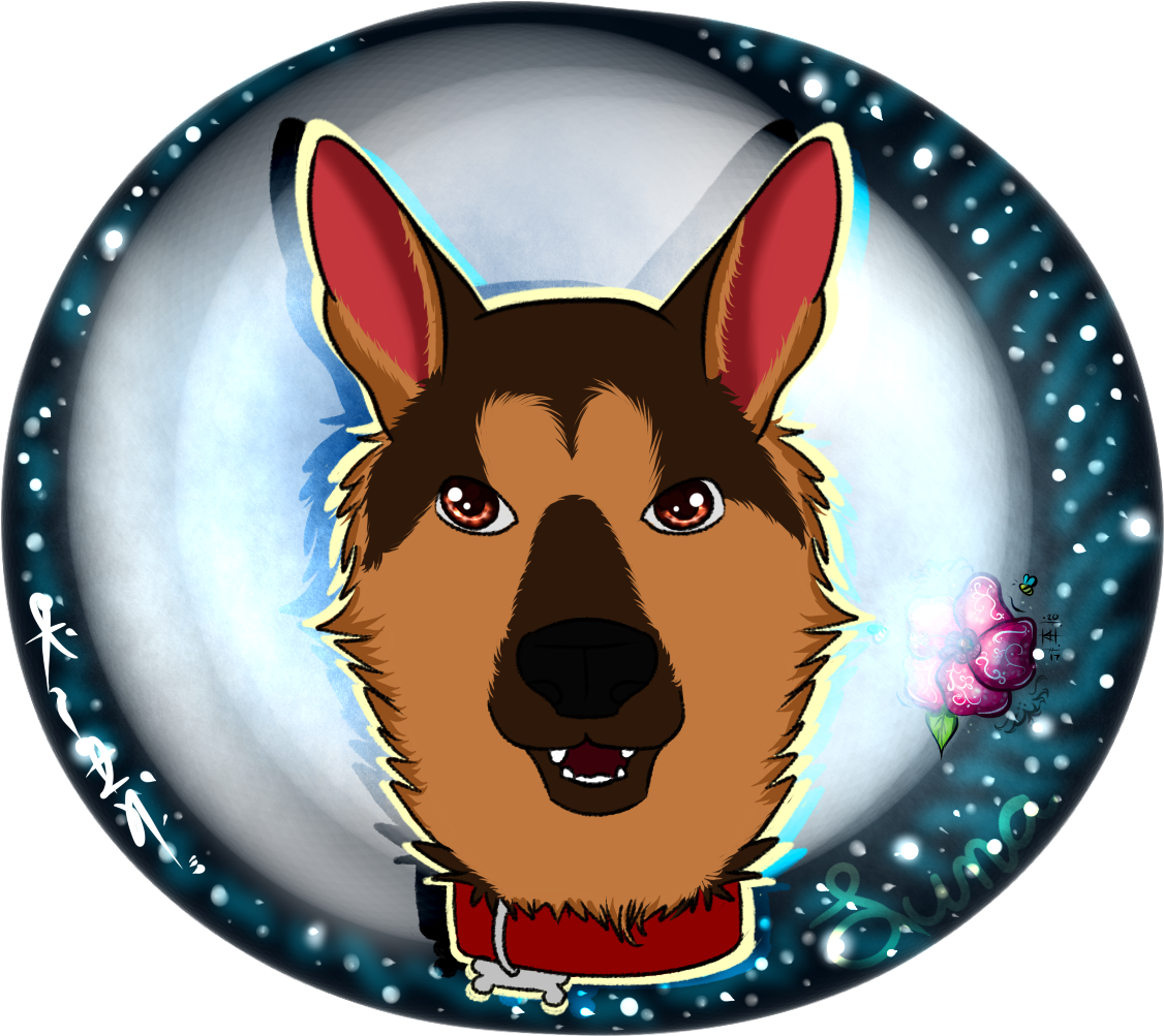 Luna - Old German Shepherd Dog Clipart (1200x1100), Png Download