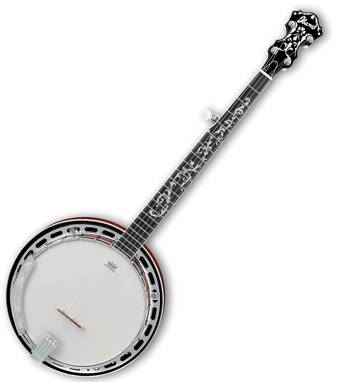 Banjo 5 Corde Ibanez Clipart (1096x1242), Png Download