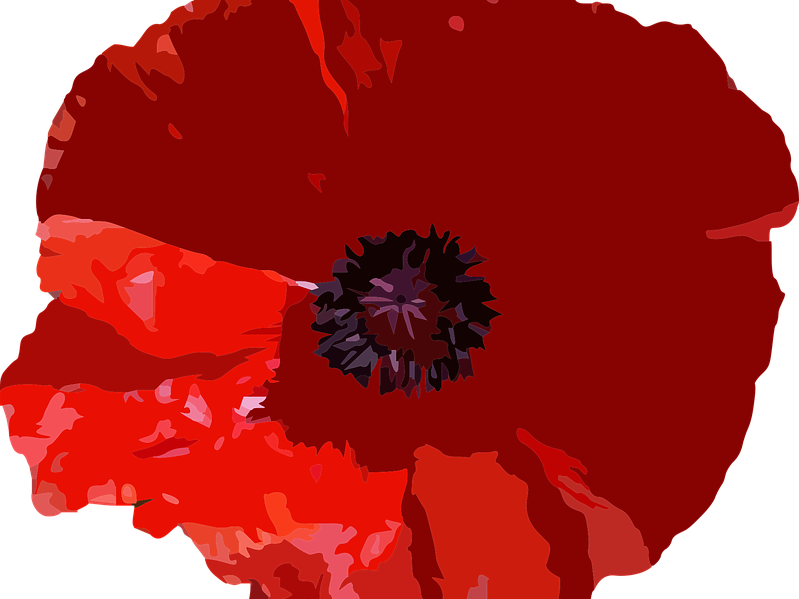 Happy Thanksgiving Banner - Remembrance Day Poppies Graphics Clipart (799x599), Png Download
