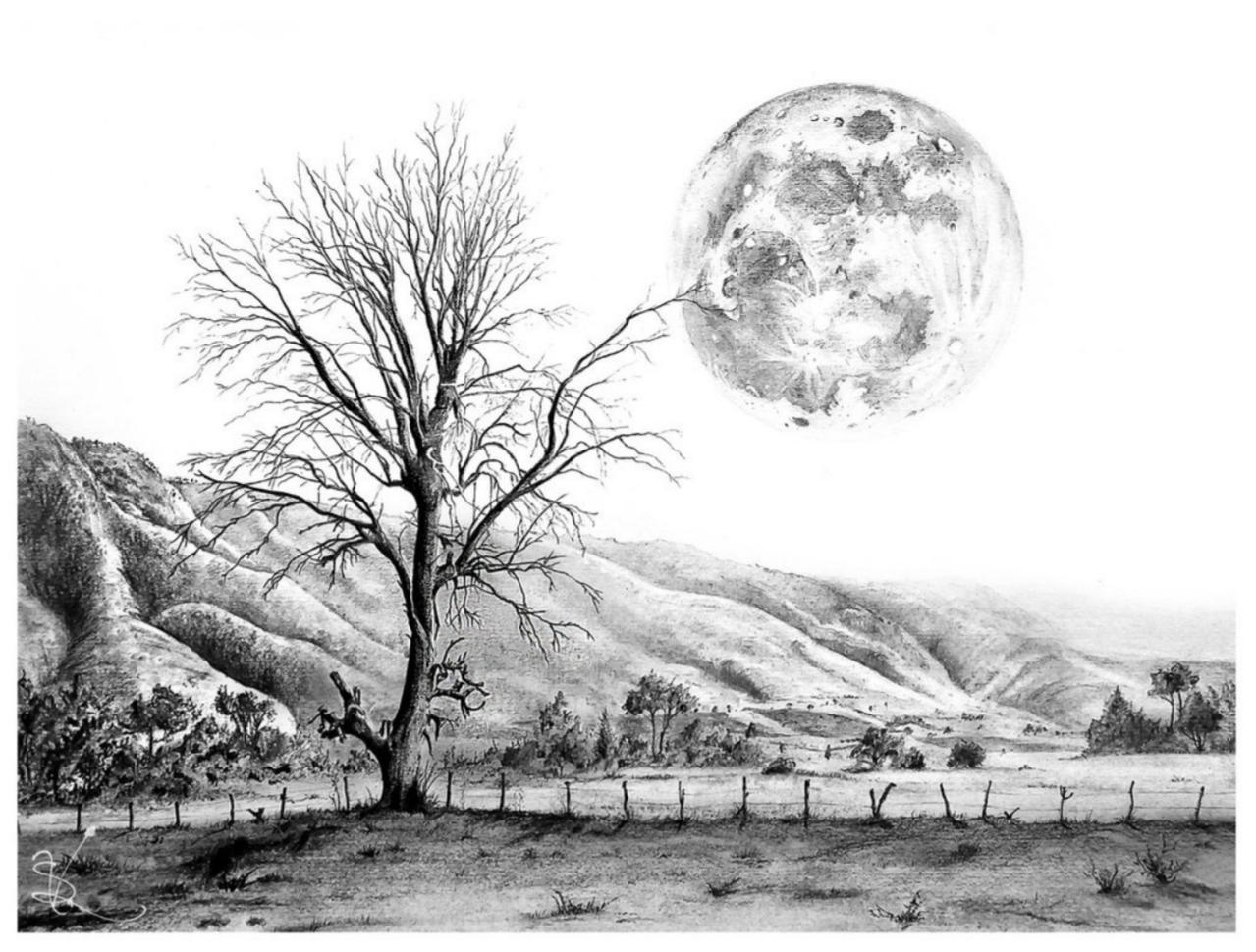 Clip Black And White Beautiful Nature Pencil Drawings - Black And White Landscape Drawings - Png Download (1280x1280), Png Download