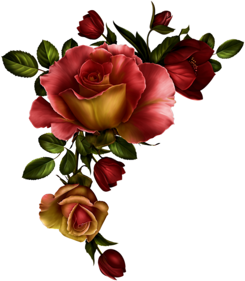 #roses #flower #flowers #decoration #frame #frames - Red Roses Png Corner Clipart (800x914), Png Download