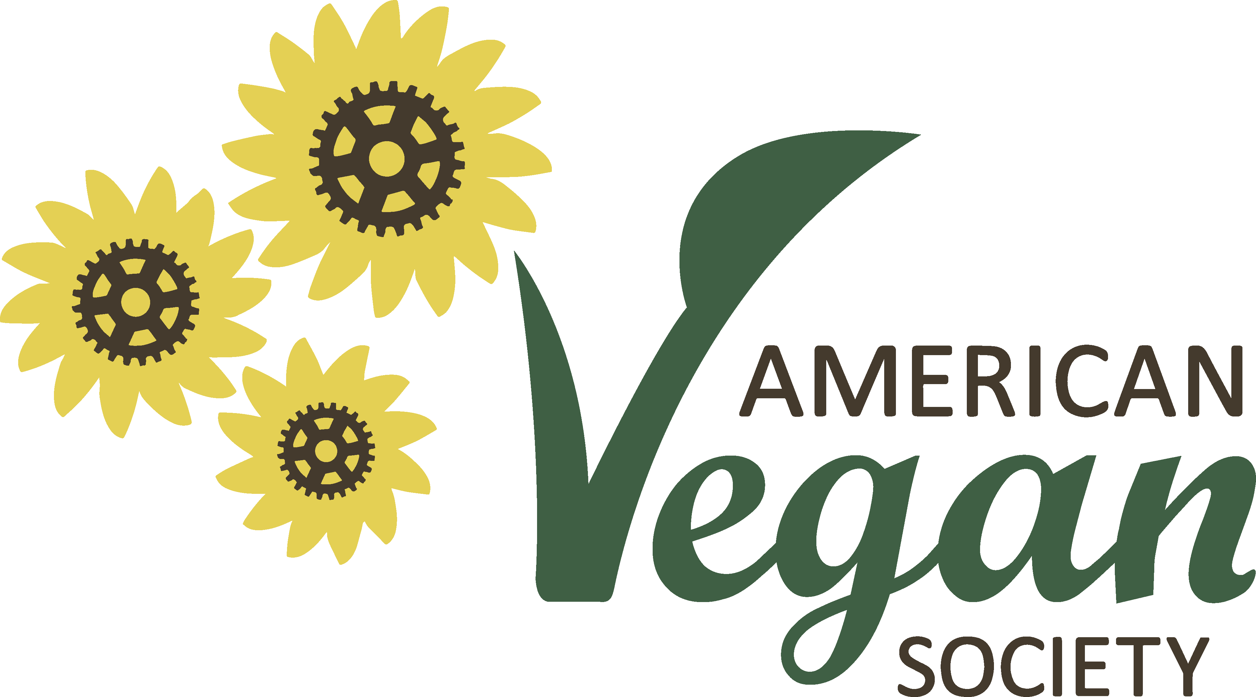 African Daisy Clipart (4074x2261), Png Download