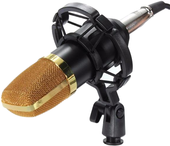 Studio Microphone Png - Diving Regulator Clipart (600x600), Png Download