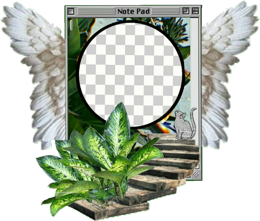 Overlay Png Filter Freetoedit Boba Drink Pastel Filter - Angel Clipart (983x983), Png Download