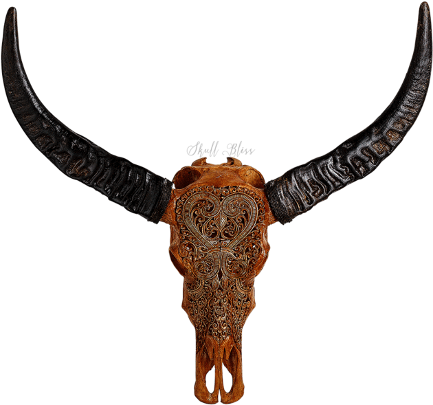 Carved Buffalo Skull , Png Download Clipart (630x589), Png Download