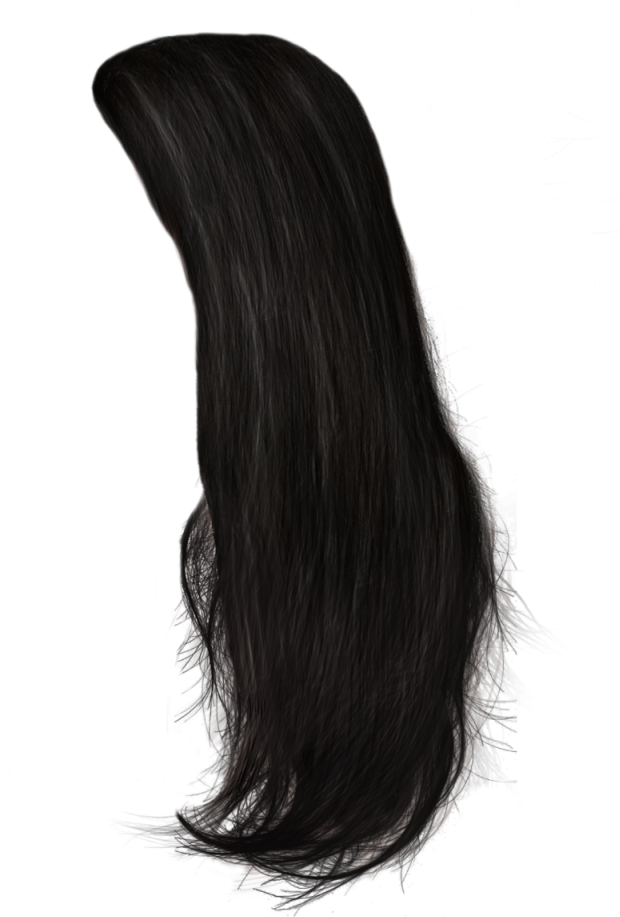Hair Png - Transparent Black Hair Png Clipart (819x1024), Png Download