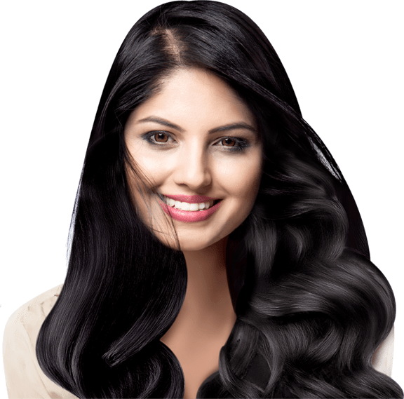 Lace Wig Clipart (576x569), Png Download