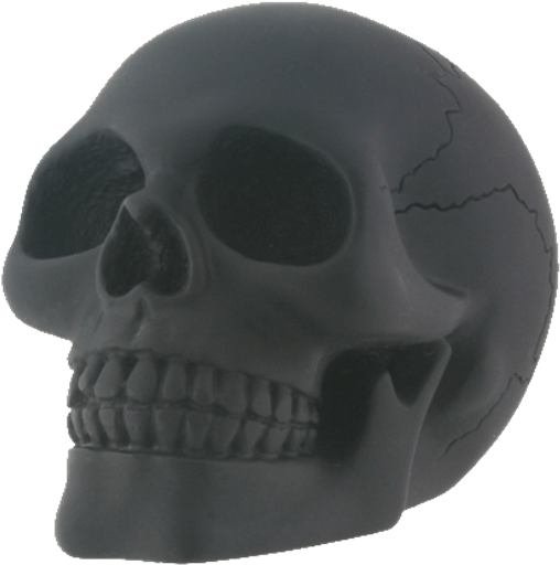 Price Match Policy - Skull Clipart (555x555), Png Download