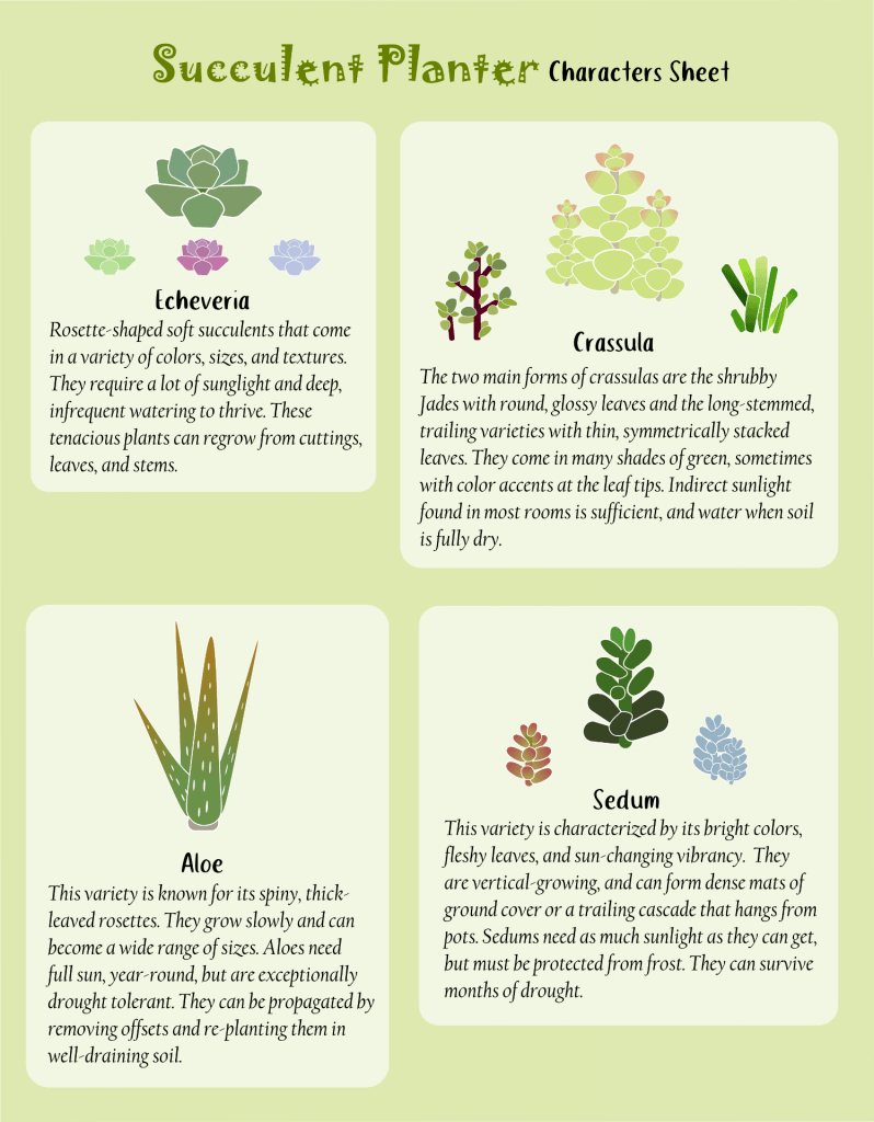 Character/level Design - Agave Clipart (798x1024), Png Download