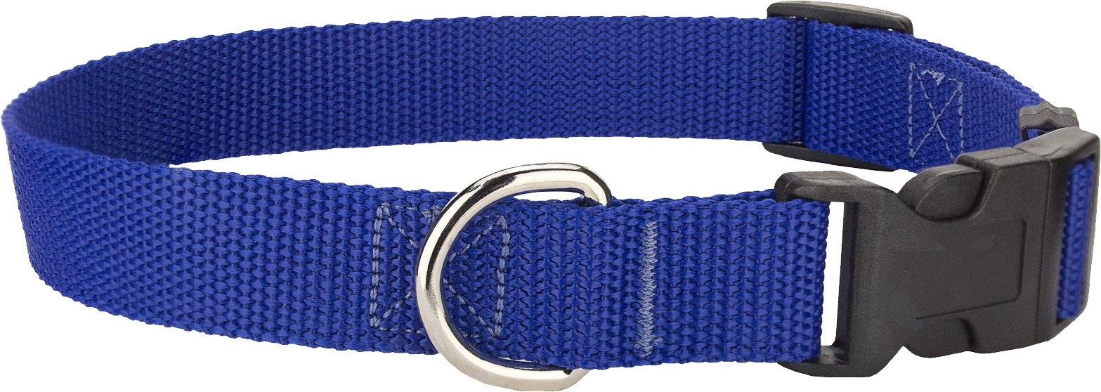 Dog Collar Png - Belt Clipart (1567x558), Png Download