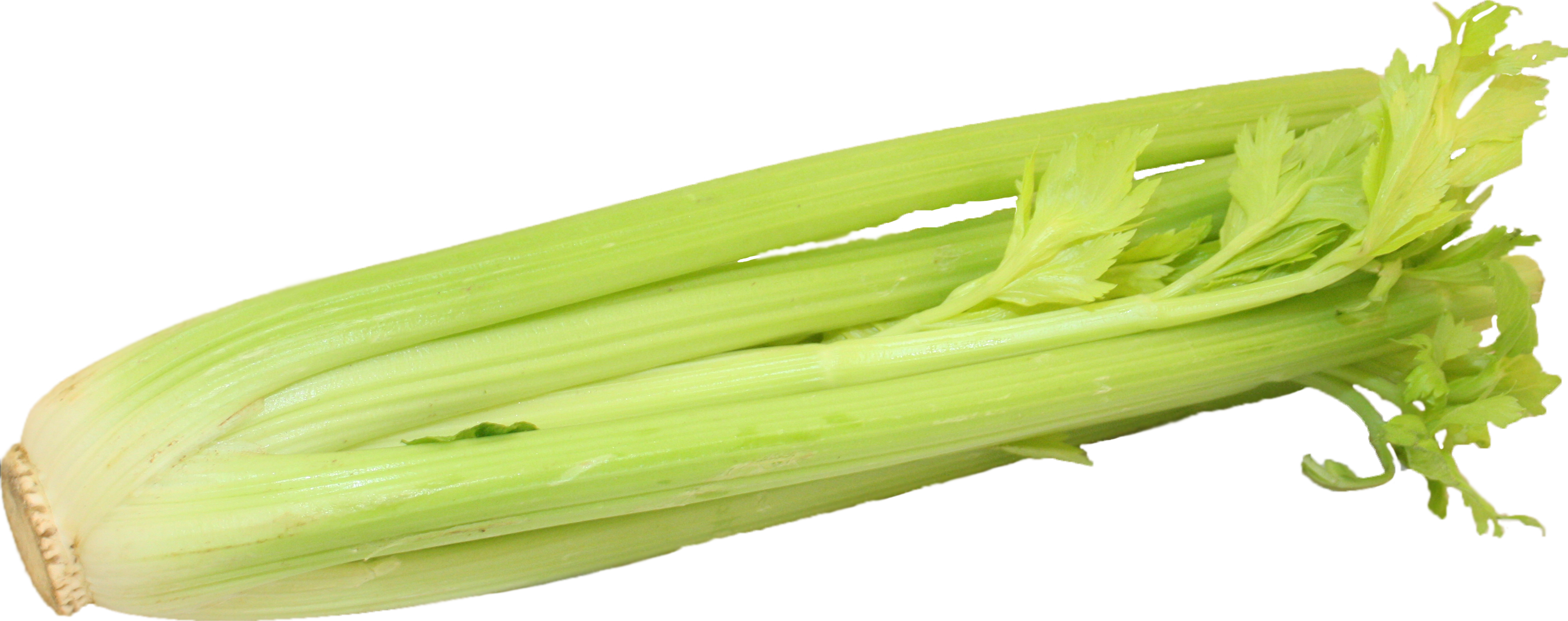 Celery Transparent - Chard Clipart (3488x1382), Png Download