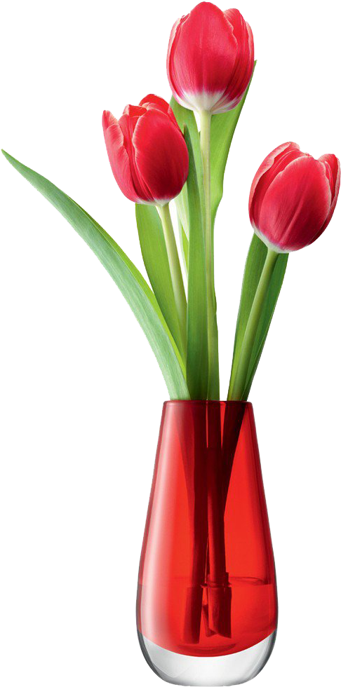 Vase With Red Flowers Clipart (1000x1000), Png Download