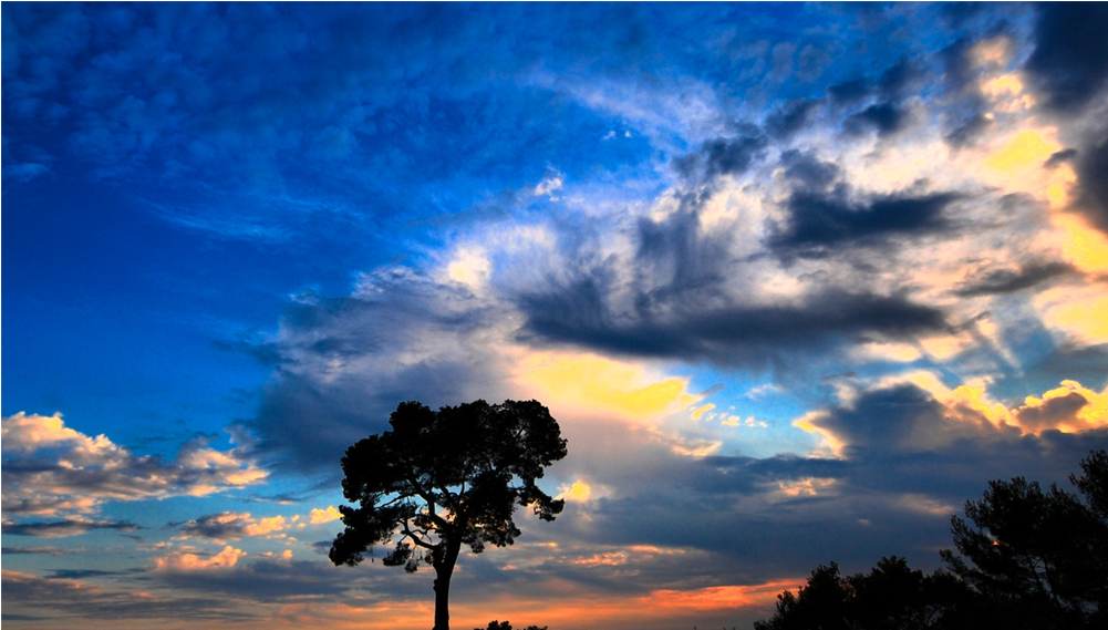 Score 50% - New Wallpaper For Pc Clipart (1000x1000), Png Download