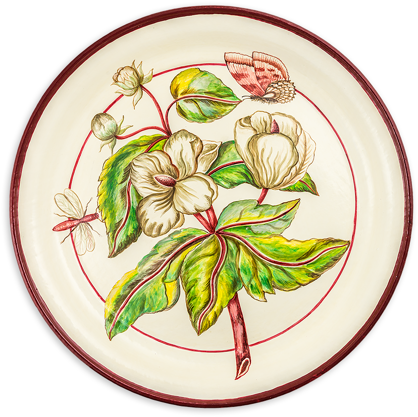 Tol-34 Chelsea Peony - Plate Clipart (900x900), Png Download
