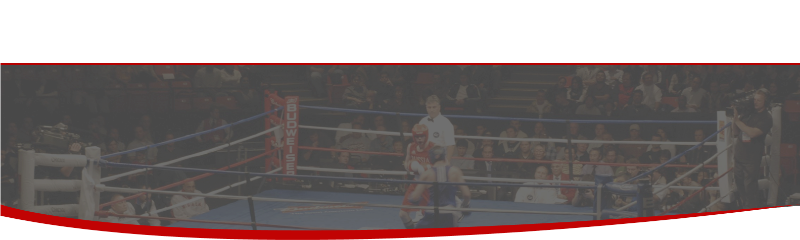 Body Bg Land - Boxing Ring Clipart (1582x486), Png Download