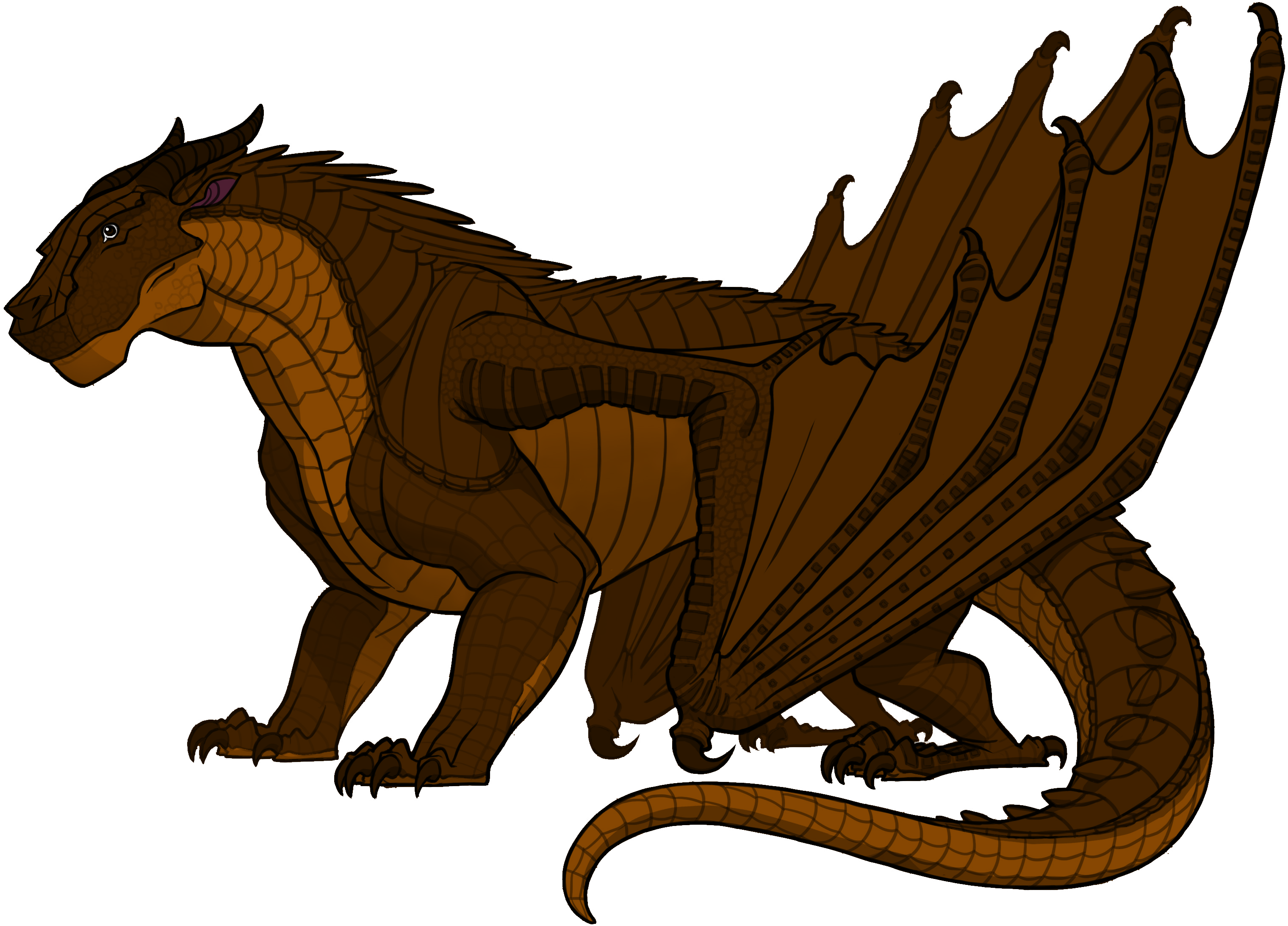 Clay Ref By Sassy The Beagle Wings Of Fire, Httyd, - Clay Wings Of Fire Dragons Clipart (3040x2214), Png Download