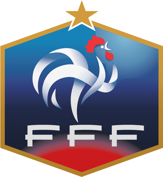 You Must Be Logged In To Access This Website - French Football Federation Clipart (800x800), Png Download