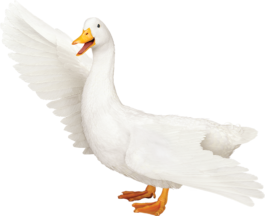 Aflac Logo Png - Transparent Aflac Duck Clipart (872x711), Png Download
