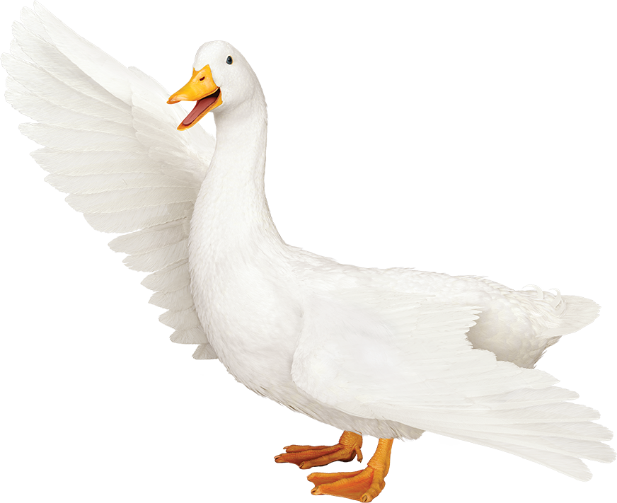 Aflac Logo Png Transparent Aflac Duck Clipart Large Size Png Image Pikpng