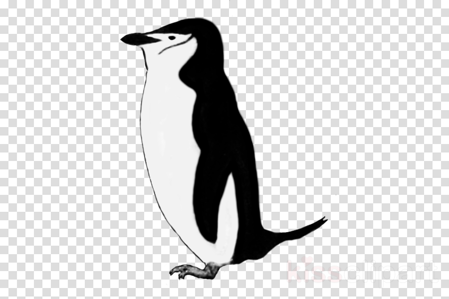Download Penguin Fish Black And White Clipart King - Grim Reaper Logo Clipart - Png Download (900x600), Png Download
